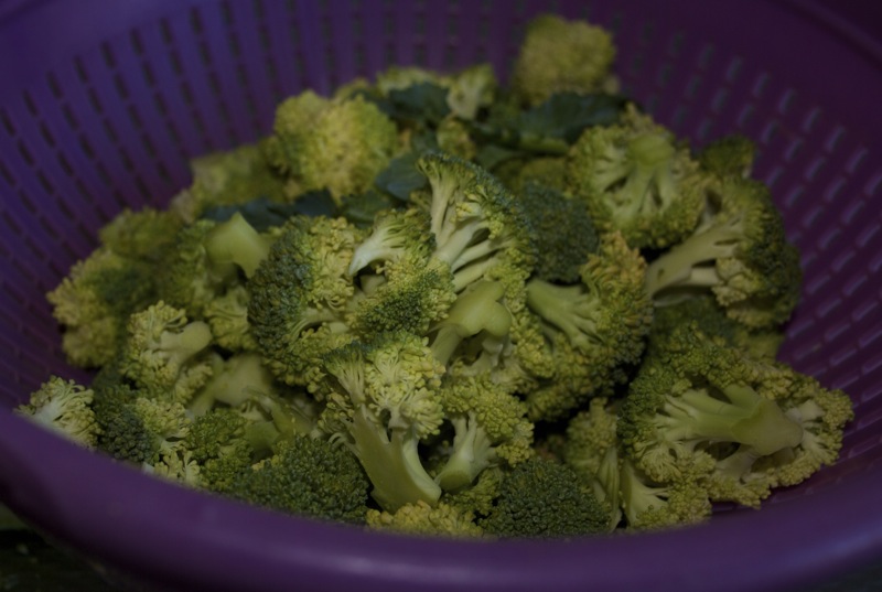 Look, there are Mr. Broccoli's heads